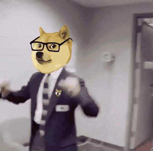 Funny Fox Shrug GIF