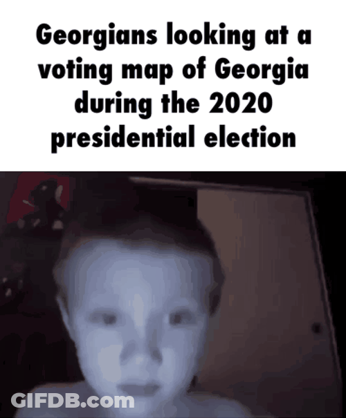 Funny Georgia Election Meme GIF