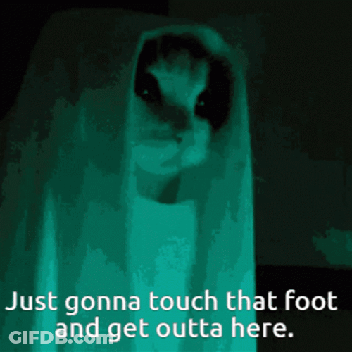 Funny Ghost Cat You Gonna Touch That Foot GIF