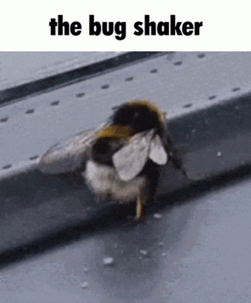Funny GIF