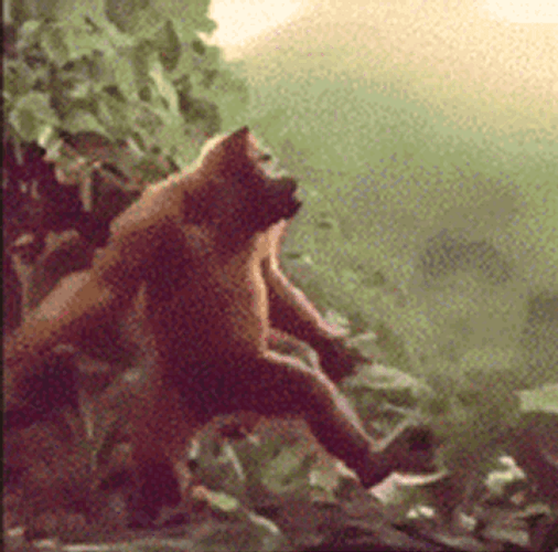 Funny Girl Monkey Dance GIF