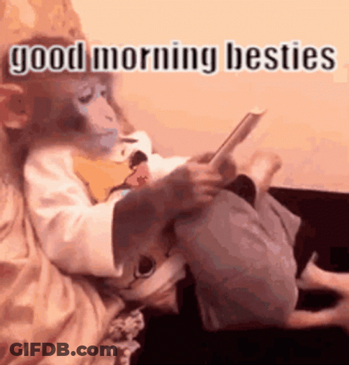 Funny Good Morning Besties Monkey Call GIF