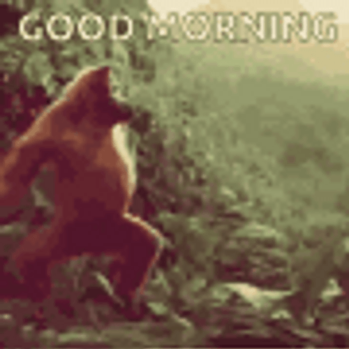 Funny Good Morning Dancing Red Monkey GIF