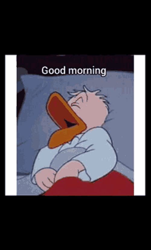 Funny Good Morning Donald Duck Sleeping GIF