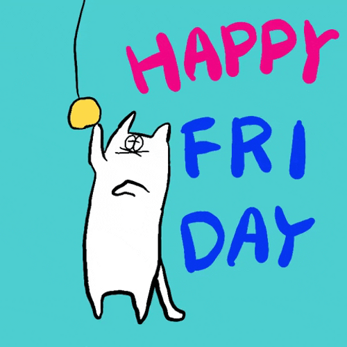 Funny Good Morning Happy Friday Sticker Cat GIF