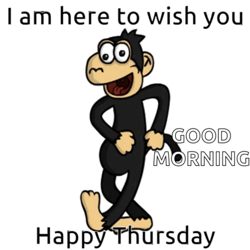 Funny Good Morning Wednesday Monkey GIF