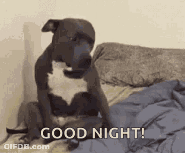 Funny Good Night Dog Passed Out Bed GIF