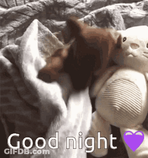 Funny Good Night Dog Sleeping Bunny Stuffed Toy GIF