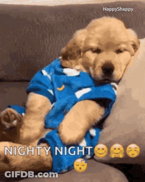 Funny Good Night Dog Yawning Couch Meme GIF
