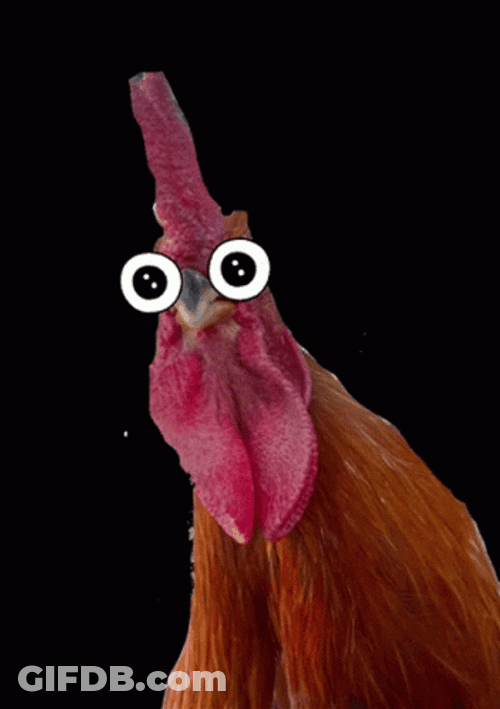 Funny Googly Eyed Rooster GIF