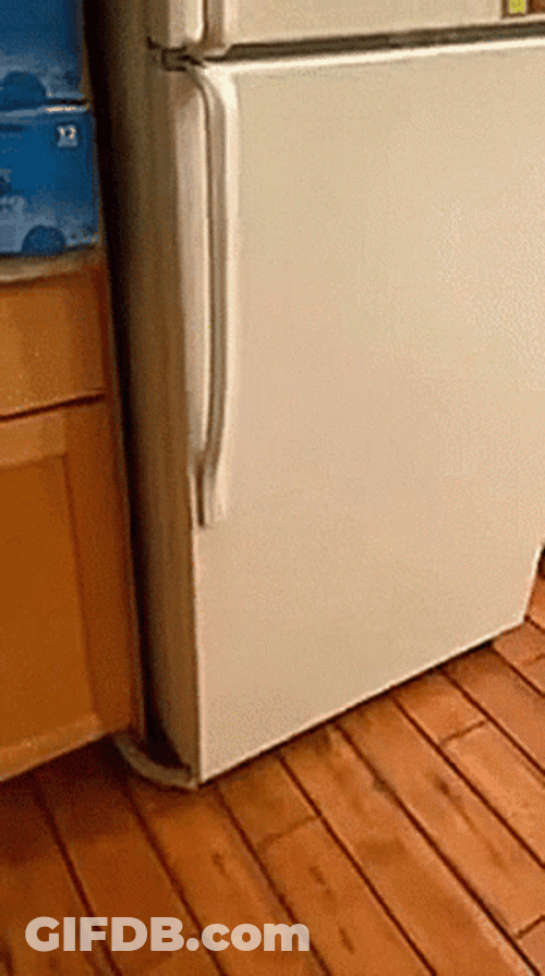 Funny Guy Russian Dance With Beer GIF