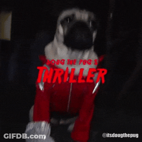 Funny Halloween Cute Pug Compilation GIF