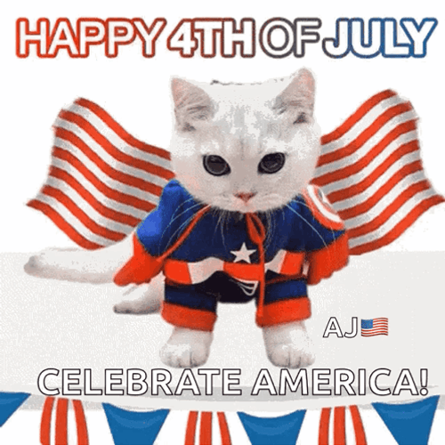 Funny Happy 4Th Of July Celebrate America GIF