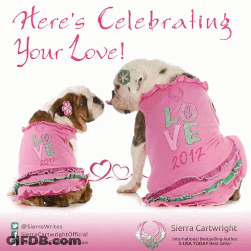 Funny Happy Anniversary Dog Kissing GIF