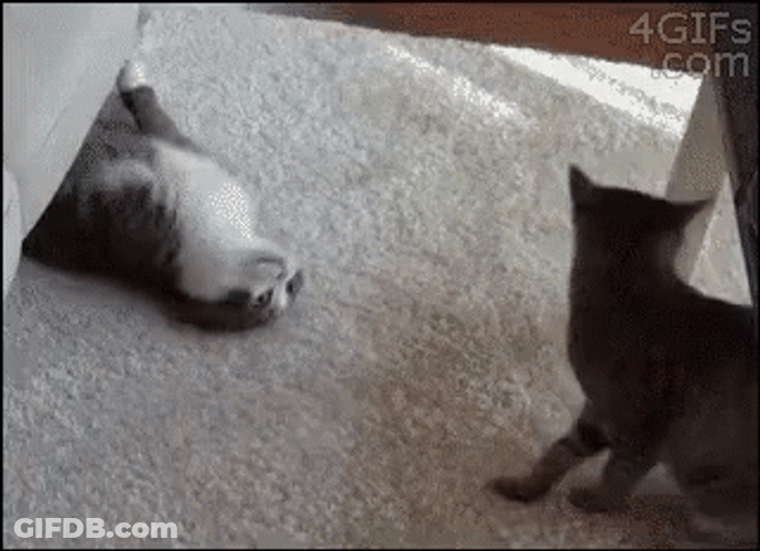 Funny Happy Anniversary GIF