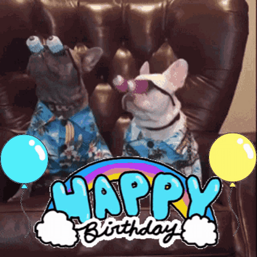 Funny Happy Birthday Puppies With Googly Eyes GIF
