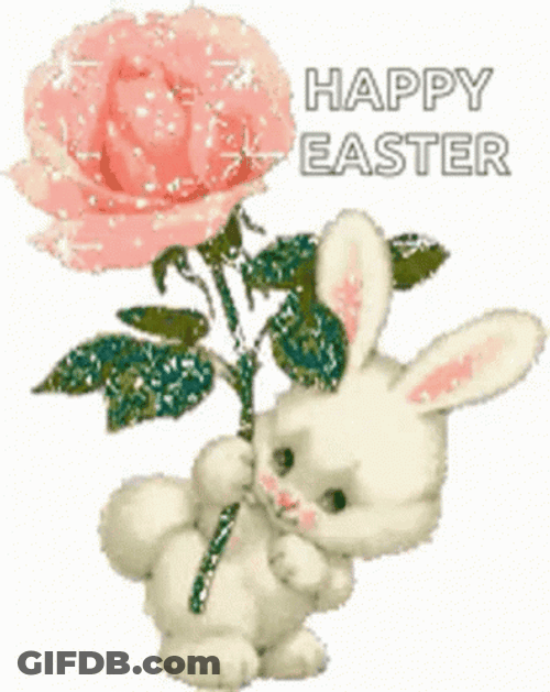 Funny Happy Easter Bunny With Rose GIF