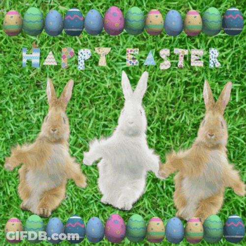 Funny Happy Easter Dancing Bunnies GIF