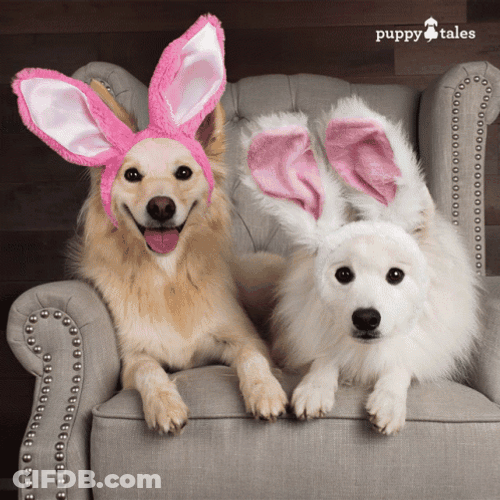 Funny Happy Easter GIF
