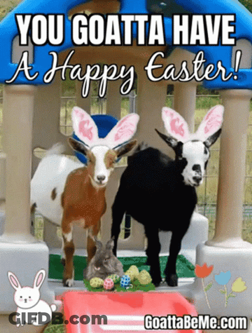 Funny Happy Easter GIF