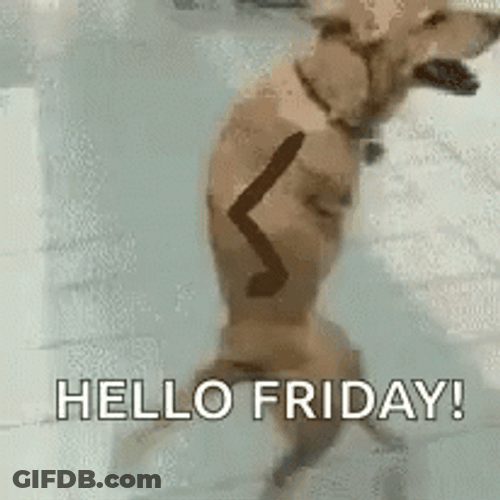 Funny Happy Friday Doggy Dance GIF
