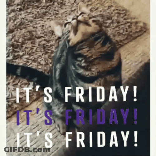 Funny Happy Friday Head Twerking GIF