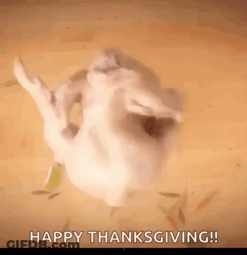Funny Happy Thanksgiving Bald Turkey GIF