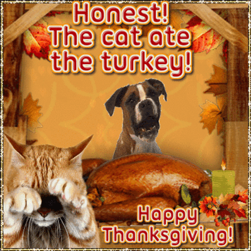 Funny Happy Thanksgiving Cat Eat The Turkey GIF