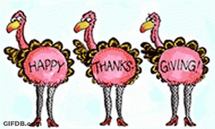Funny Happy Thanksgiving Dancing Turkeys GIF