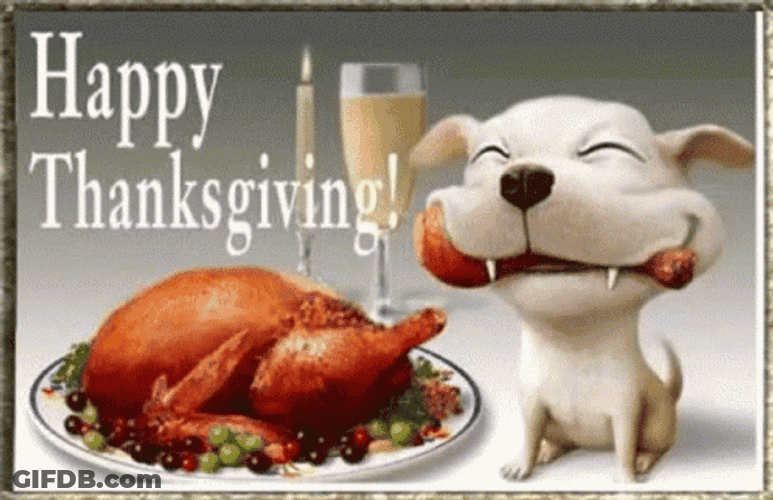 Funny Happy Thanksgiving Dog Eats Chicken GIF
