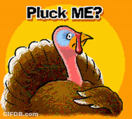 Funny Happy Thanksgiving Pluck Me GIF