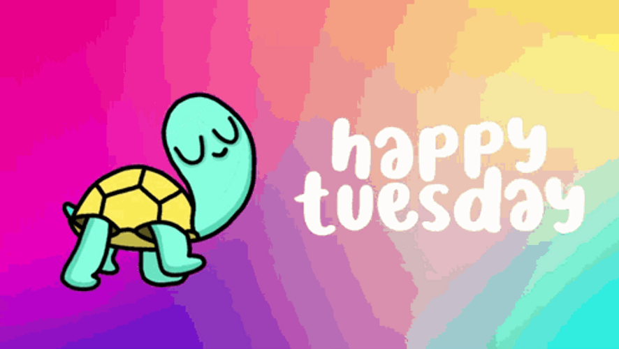 Funny Happy Tuesday Cute Turtle Strolling GIF