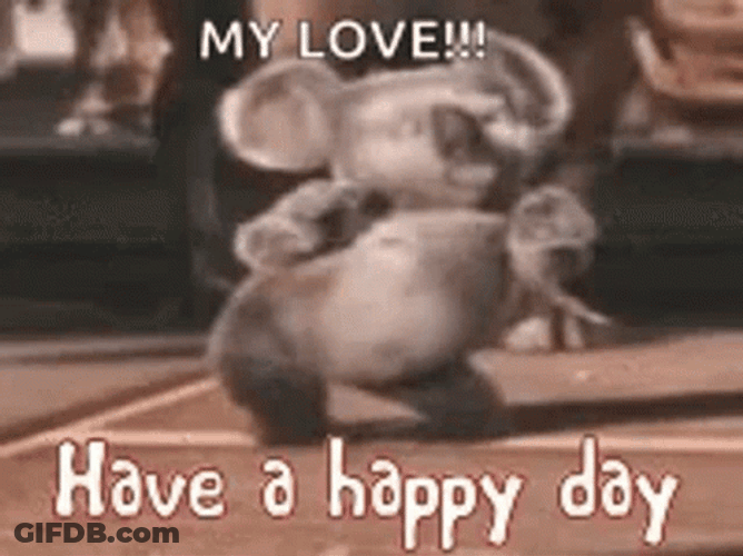 Funny Happy Wednesday Dancing Koala GIF
