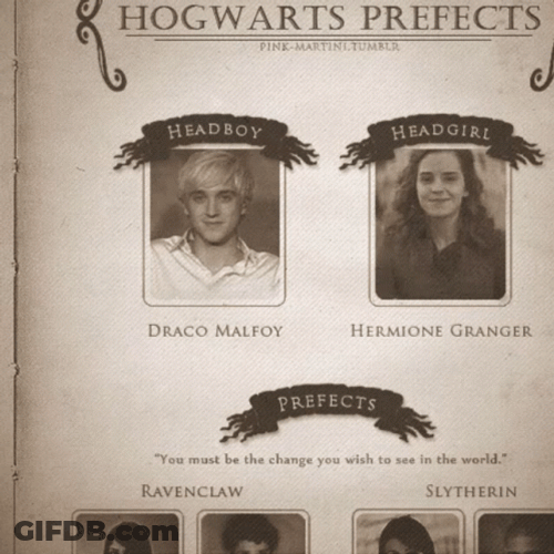Funny Harry Potter And Hogwarts Perfects GIF