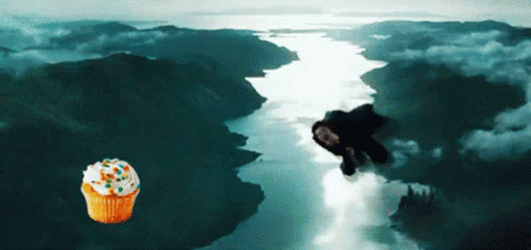 Funny Harry Potter Flying GIF
