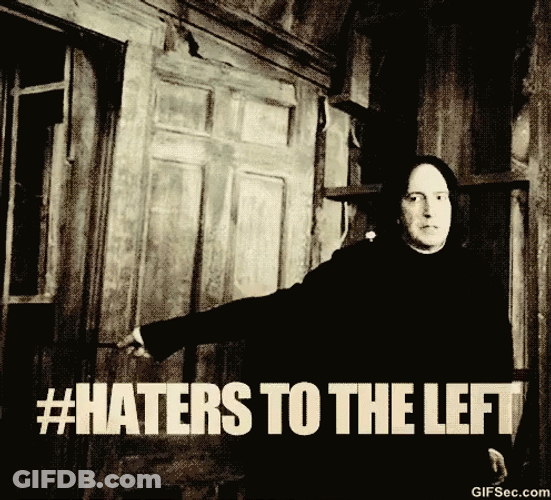 Funny Harry Potter Haters To The Left GIF