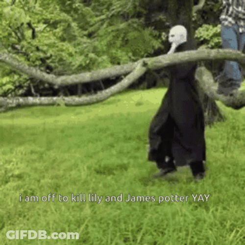 Funny Harry Potter Is Off To Kill Voldemort GIF