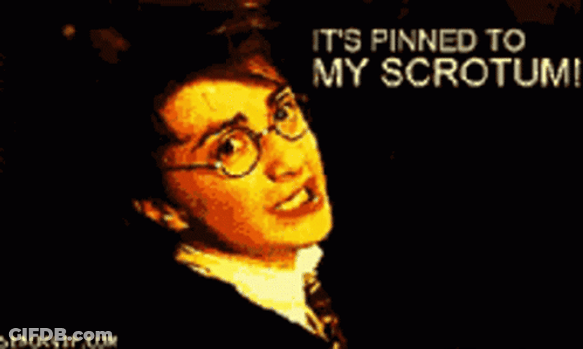 Funny Harry Potter Pinned To His Scrotum GIF