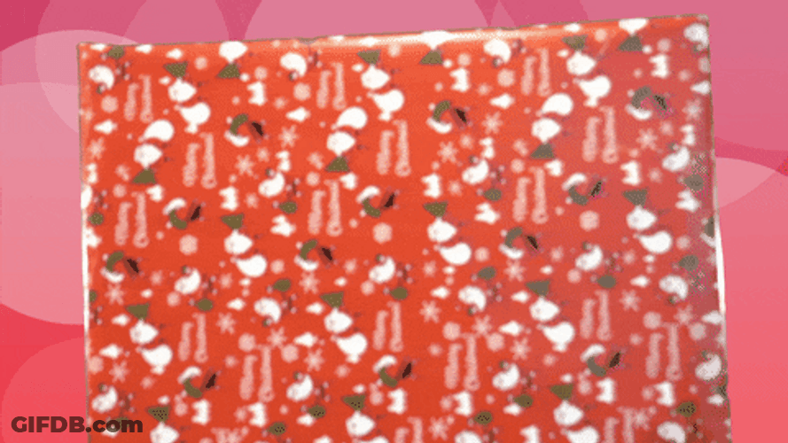 Funny Hello Christmas Yolo GIF