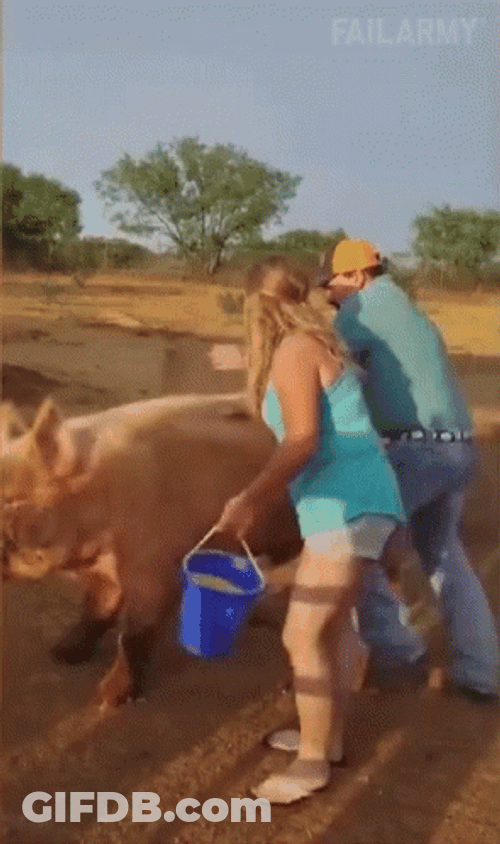 Funny Hillbilly Riding Pig Mishap GIF