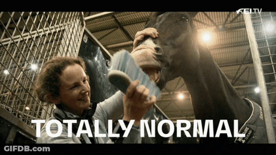 Funny Horse Brushing Teeth GIF
