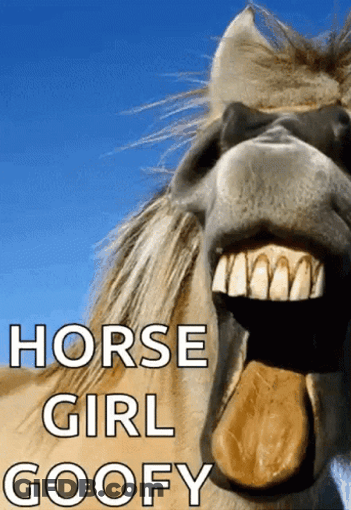 Funny Horse Goofy Face GIF