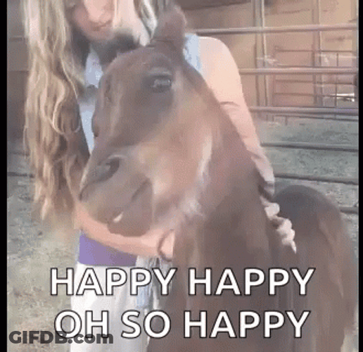 Funny Horse Happy Scratch GIF