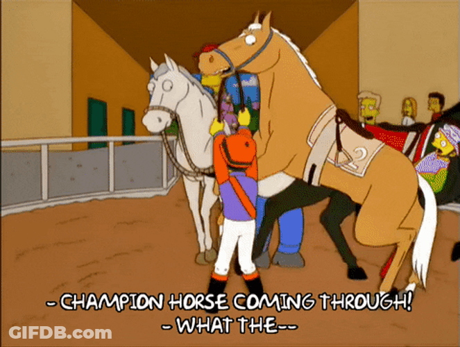 Funny Horse Homer Simpson GIF