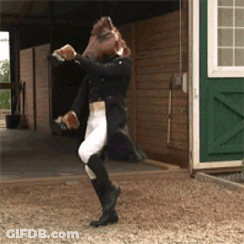 Funny Horse Mascot Dancing GIF