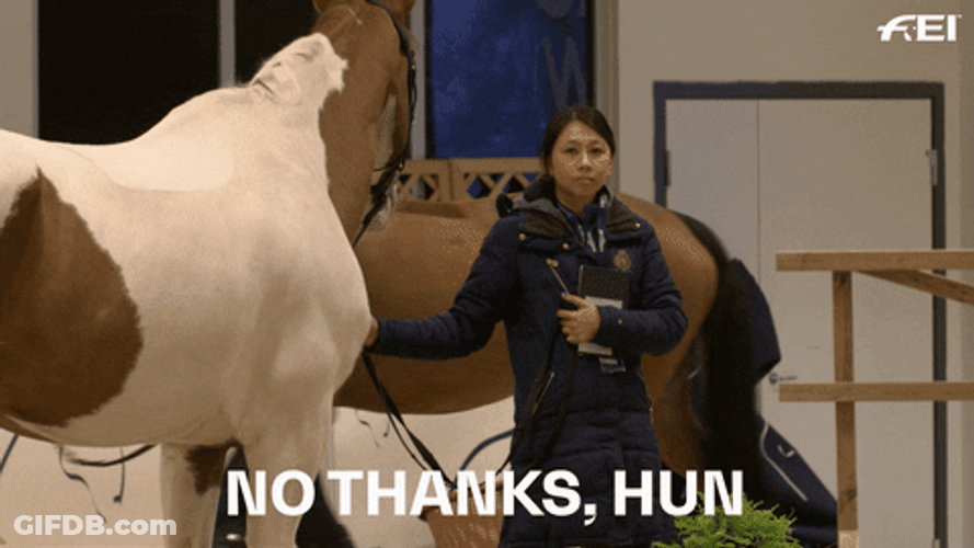 Funny Horse No Thanks GIF