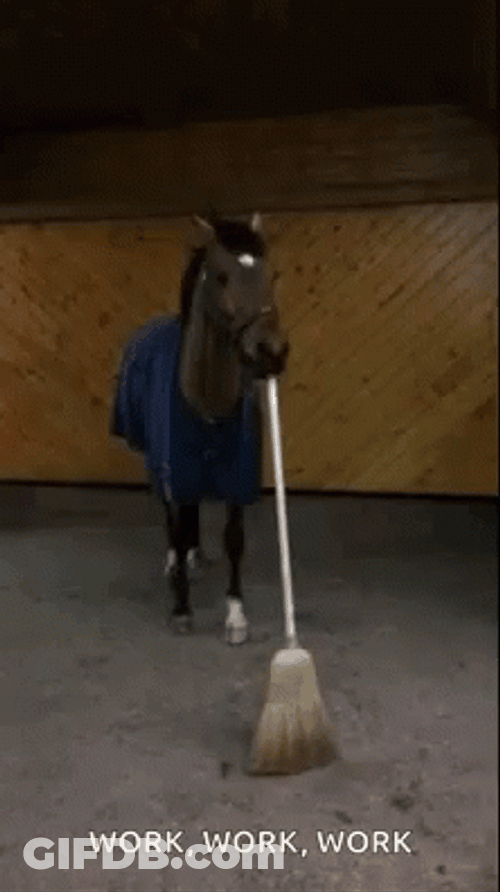 Funny Horse Sweeping GIF