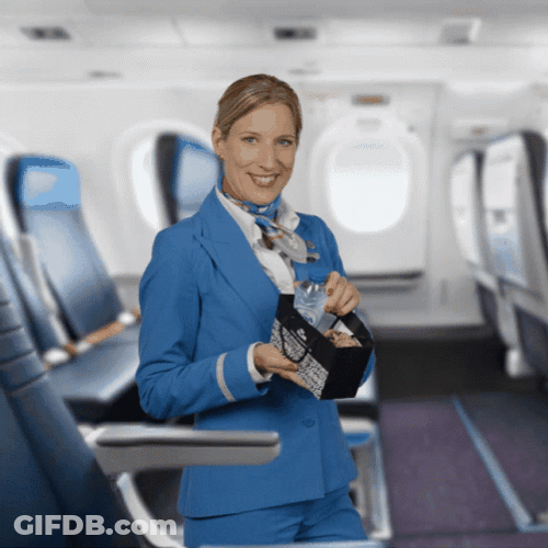 Funny How Plane Stewardess Offers Food From Paper Bag GIF