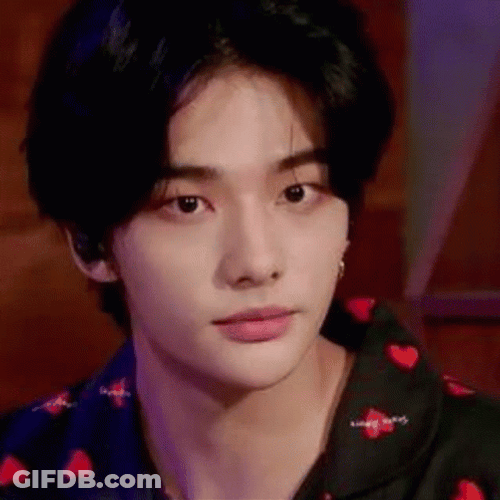 Funny Hyunjin Look Alike Ginger Cat GIF