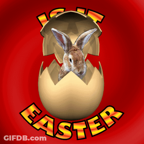 Funny Is It Easter Hiding Bunny GIF
